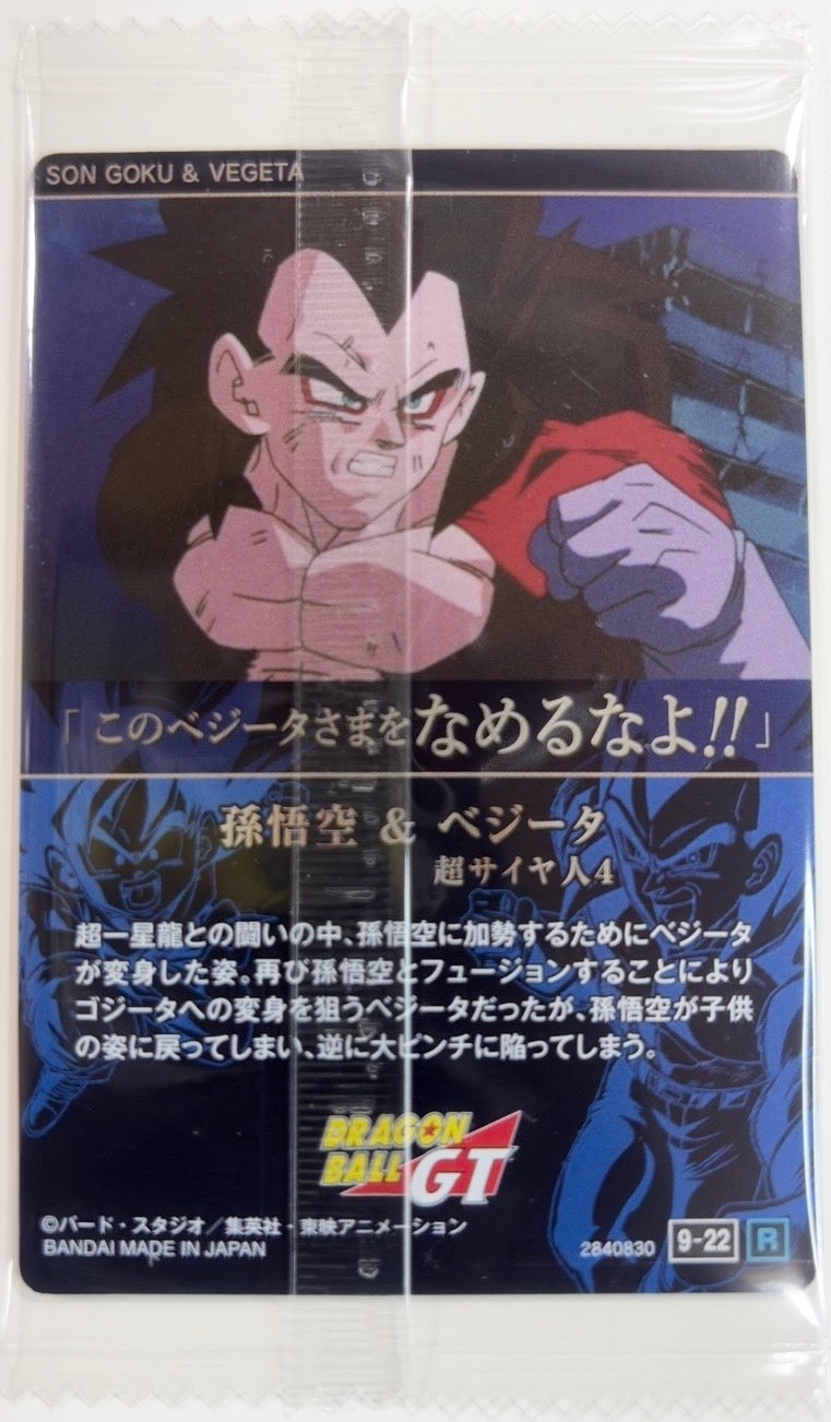 Ita-Jaga Dragon Ball Vol. 9 Card Kid Goku (GT) & SSJ 4 Vegeta (GT) [Rare]