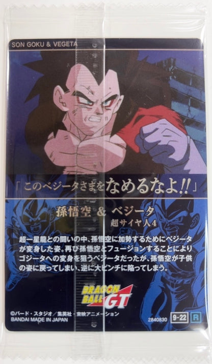 Ita-Jaga Dragon Ball Vol. 9 Card Kid Goku (GT) & SSJ 4 Vegeta (GT) [Rare]