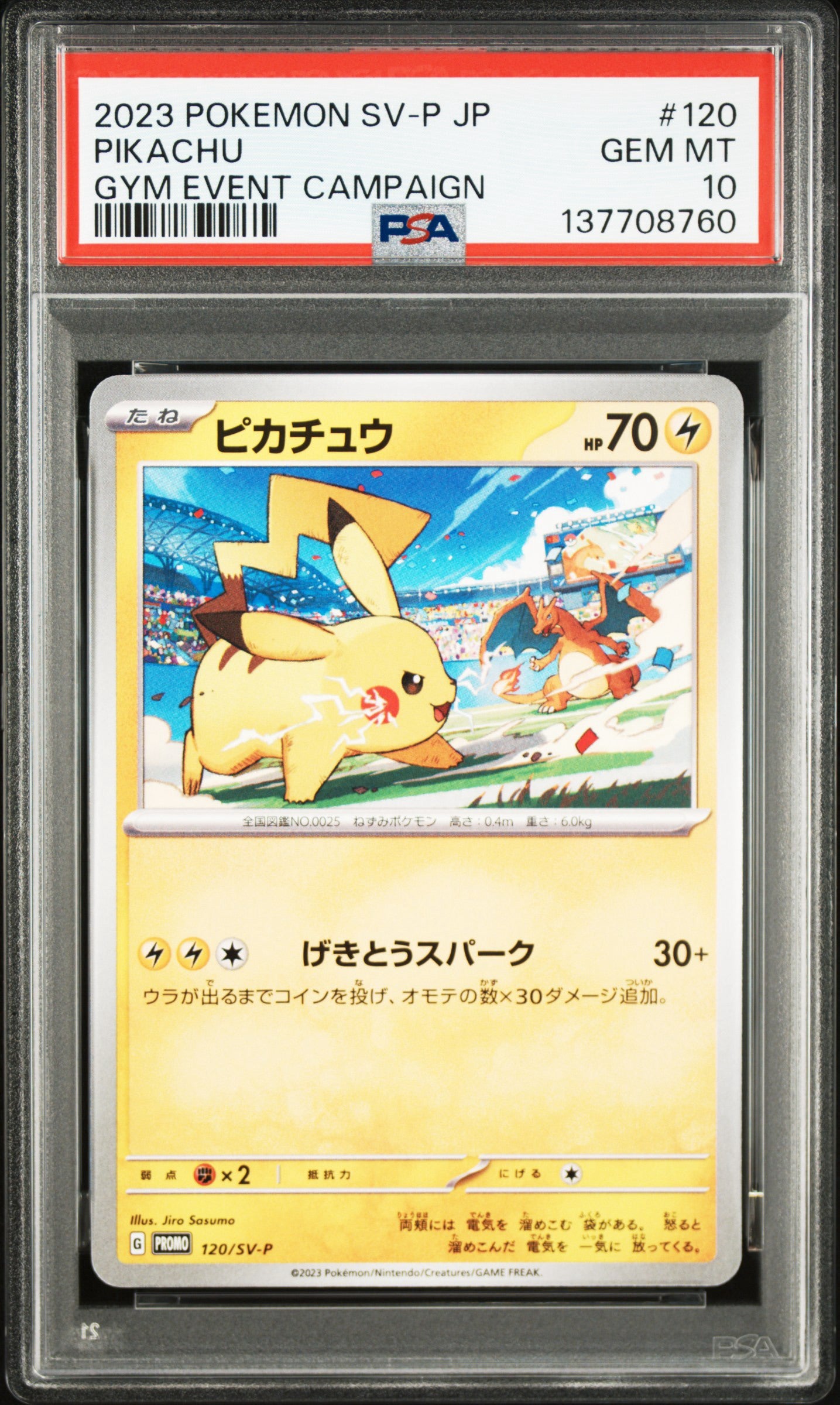 Graded Trading Cards - Authenticated & Certified - Otaku Culture